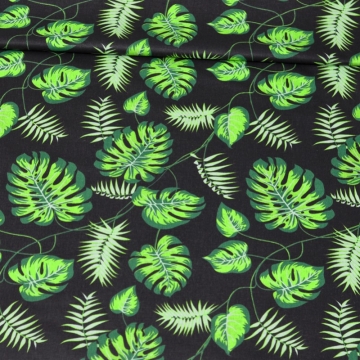 Zelené palmové listy na černém podkladě